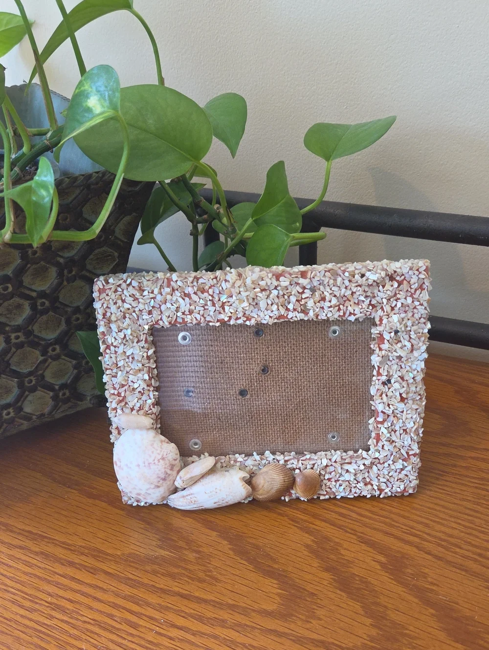 Seashell Photo Frame - Natural- Holds 3x5 Photo
